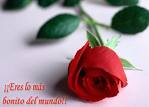 a muchas personas les gusta enviar postales