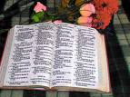 LA BIBLIA DICE